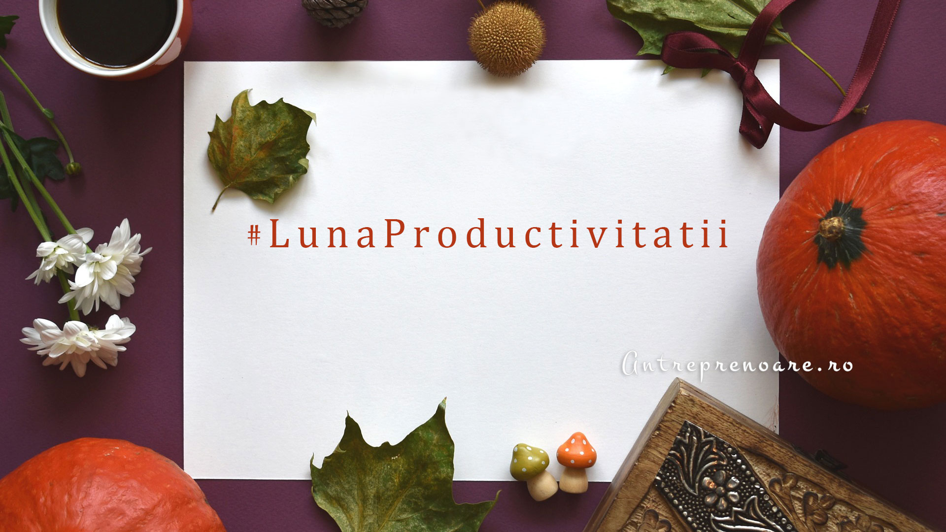 cover LunaProductivitatii