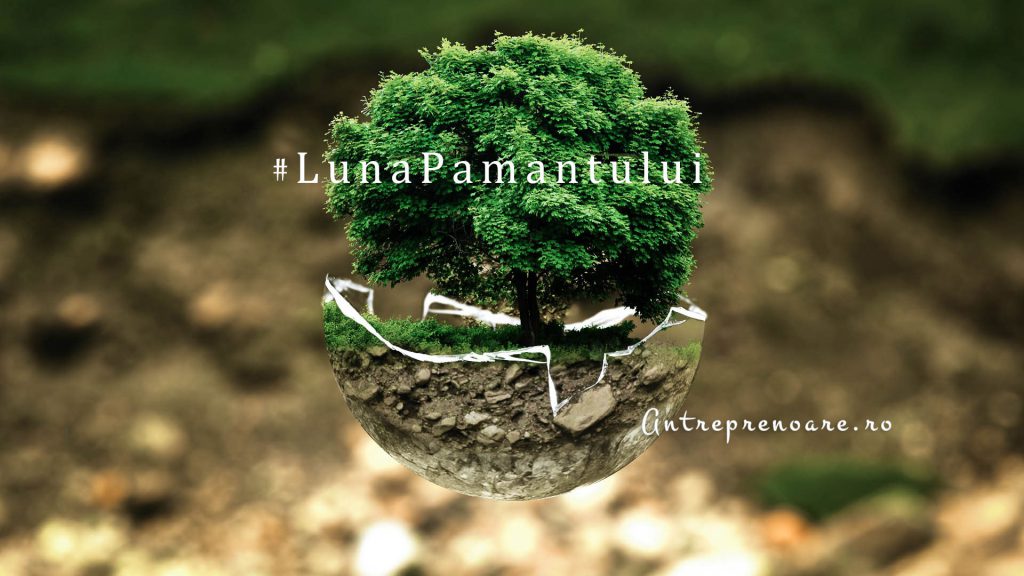 cover luna pamantului