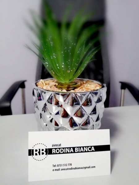 88240533 199997151212407 2170766266279657472 n