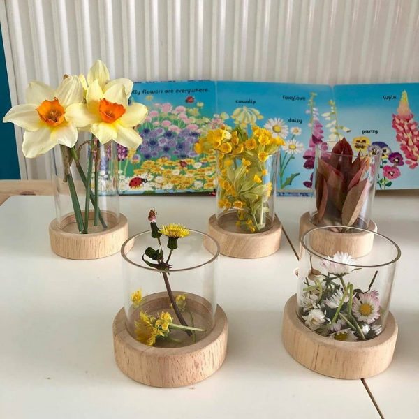 105615724 3296987690527185 9006214826356815208 o