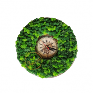 Atelier on-line de creație cu licheni, 3-17 octombrie 3 inbound2312961349555841679