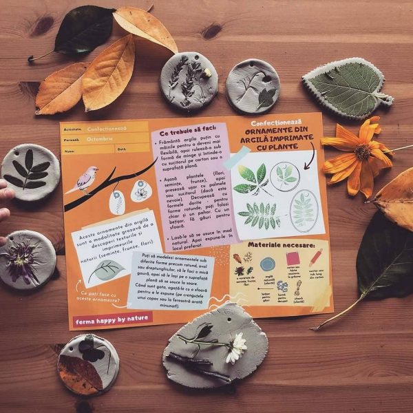 121664545 134959801668951 4679885871974539493 o 17c2ef72