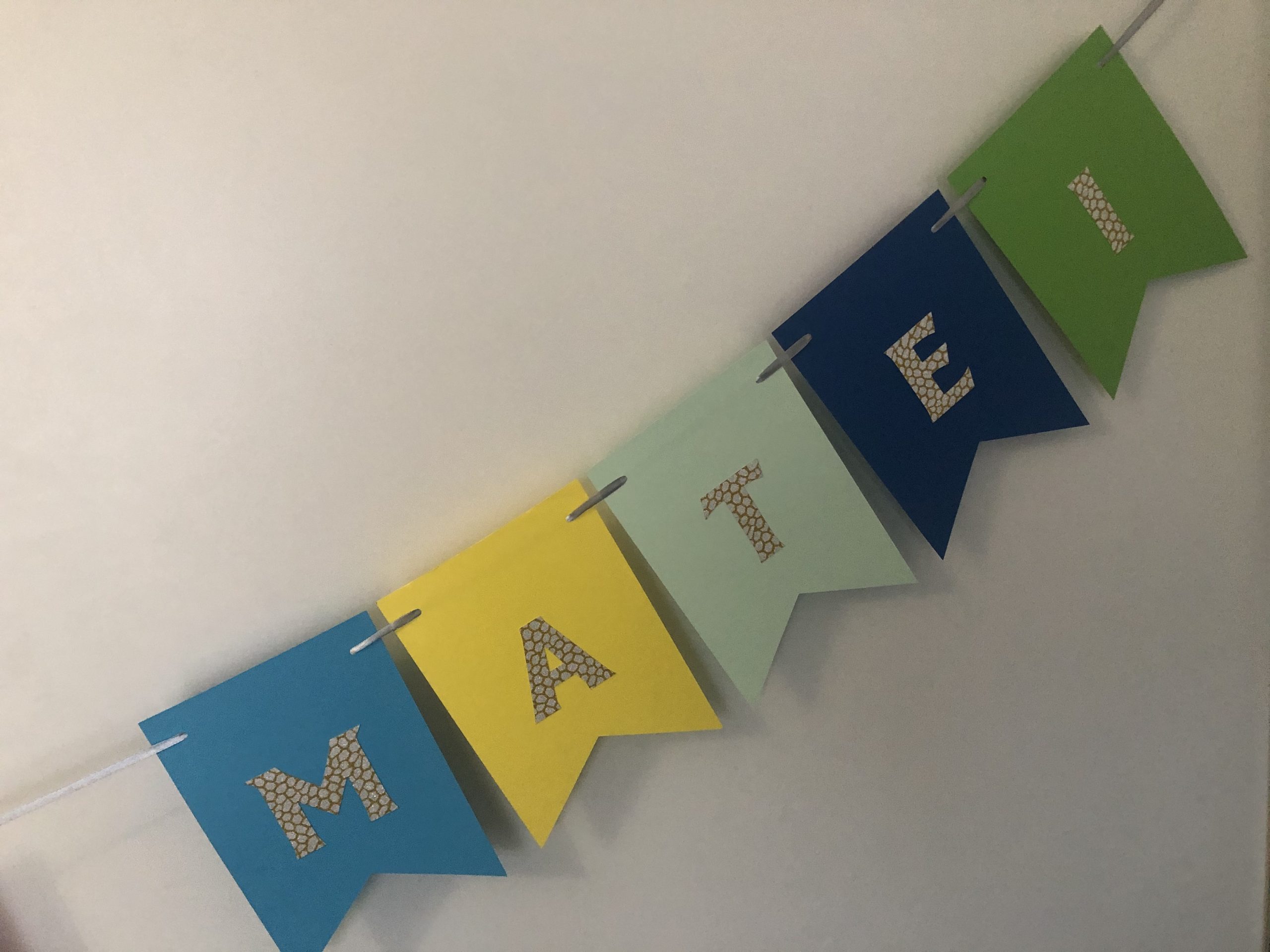 948E8C50-50DE-4107-AD98-1EB601CC17BF-8015de8b