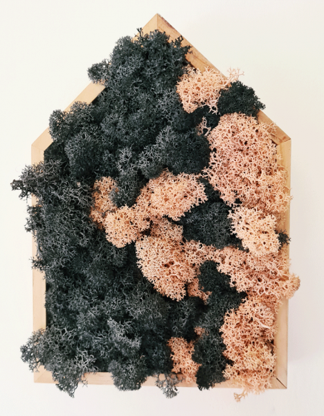 Home dual color fcf8ad5e