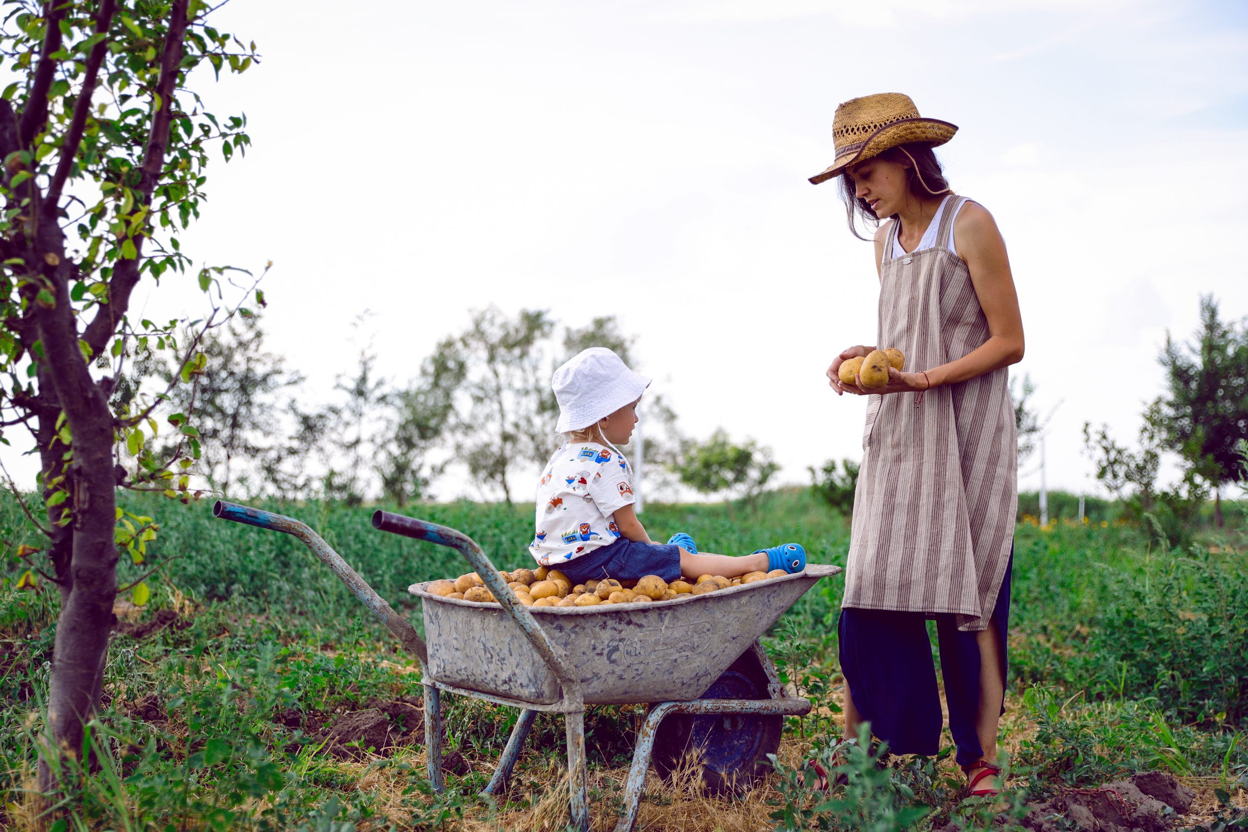 Reconectarea copiilor cu natura prin Cutia Naturii