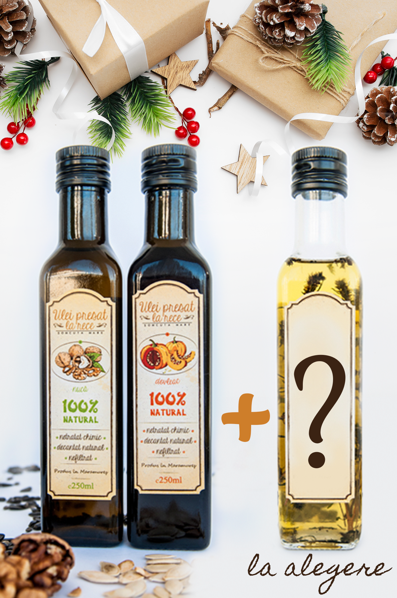 Imagine Site Cadou Craciun 2020