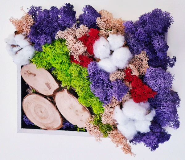 Nature life 4087a636