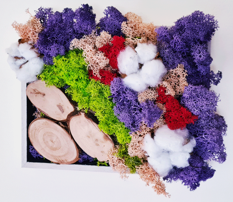 Nature_life-88ef8f6e