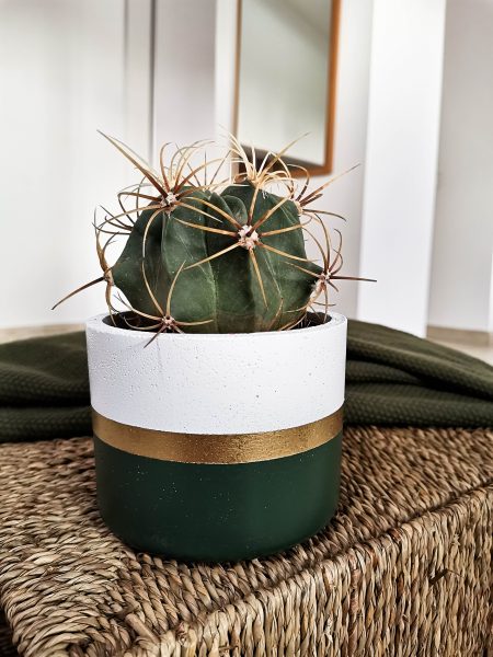 ghiveci verde 2 e9ab62af