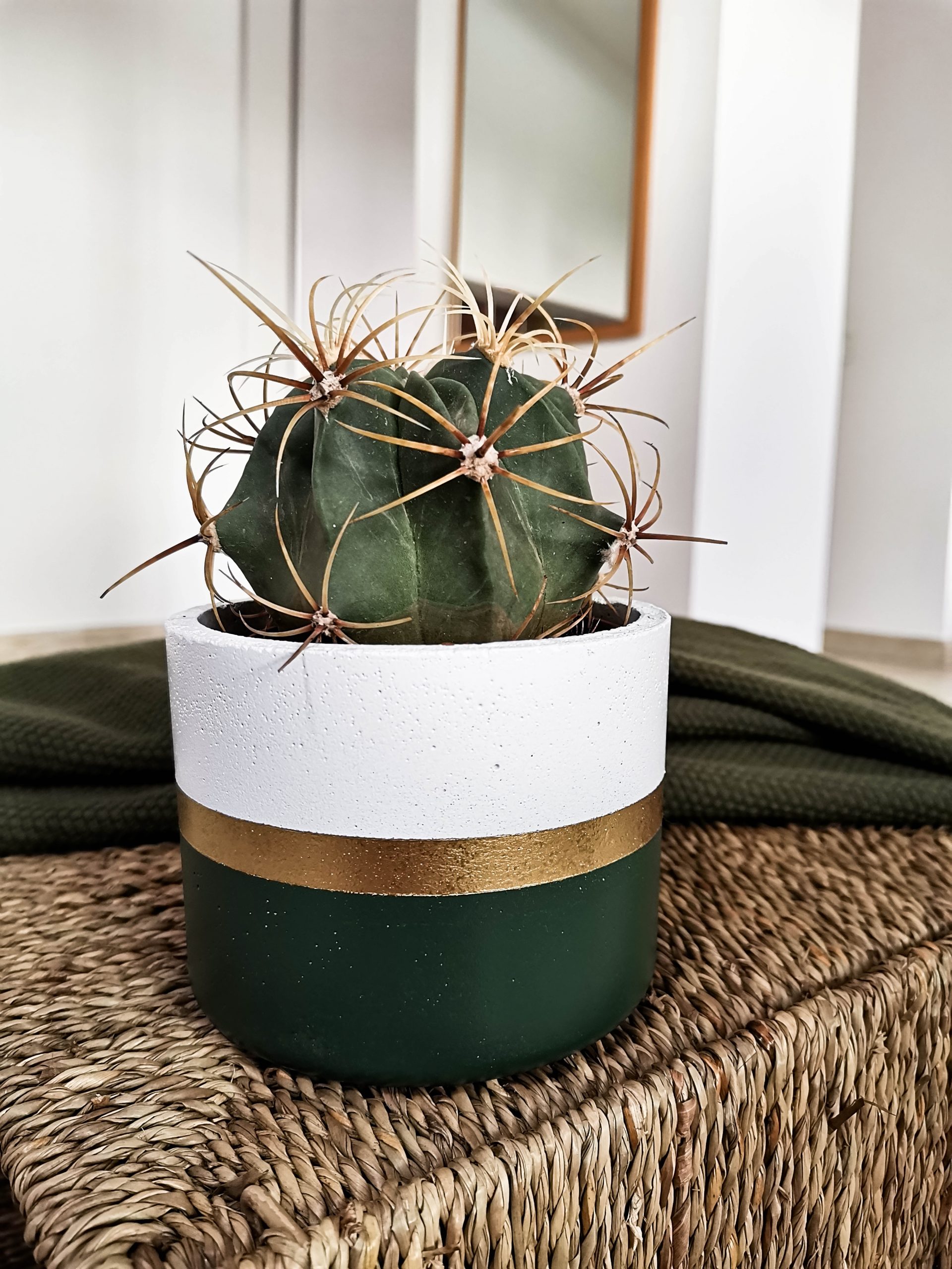 ghiveci verde 2-e9ab62af