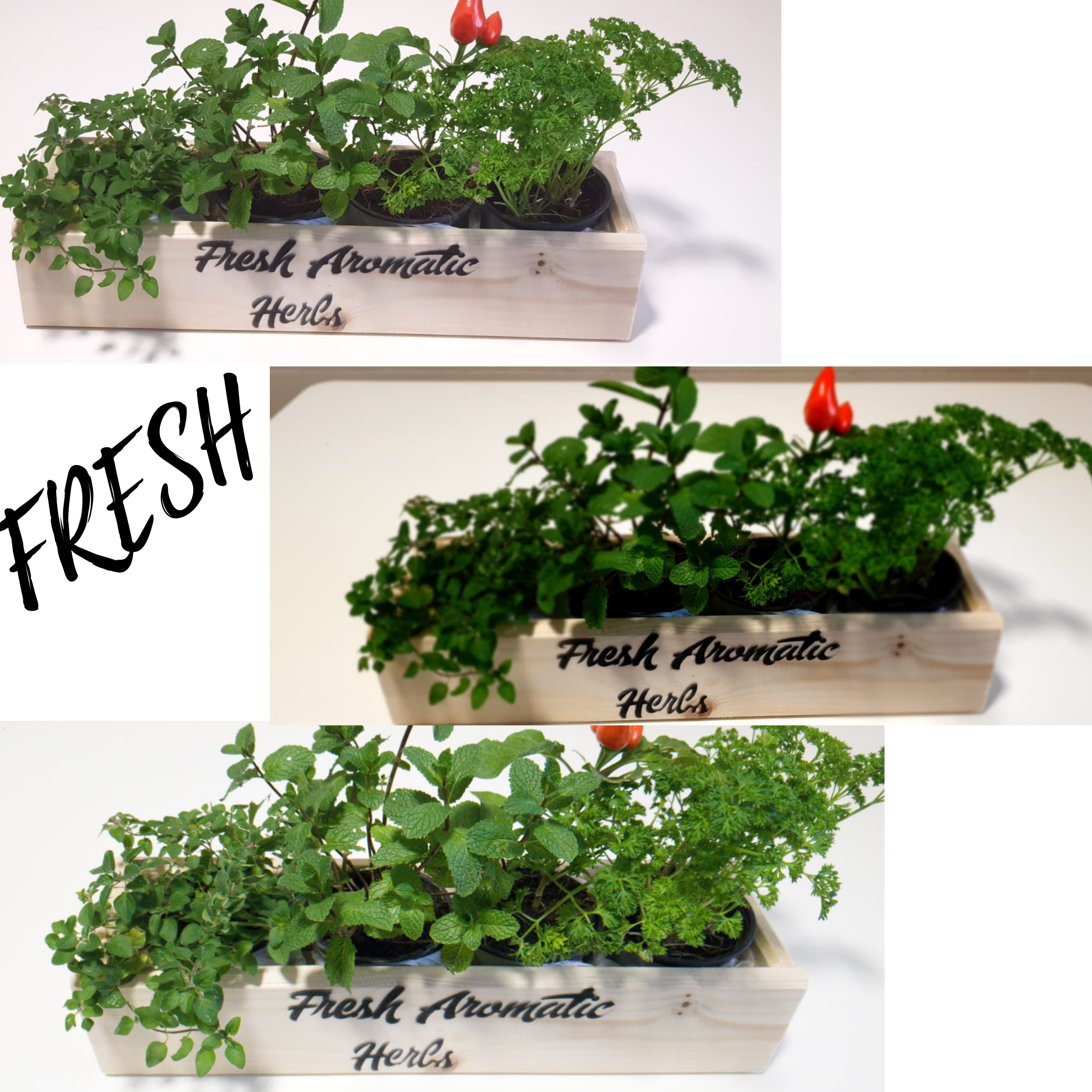 inbound2984055795975154386-4a3157d7