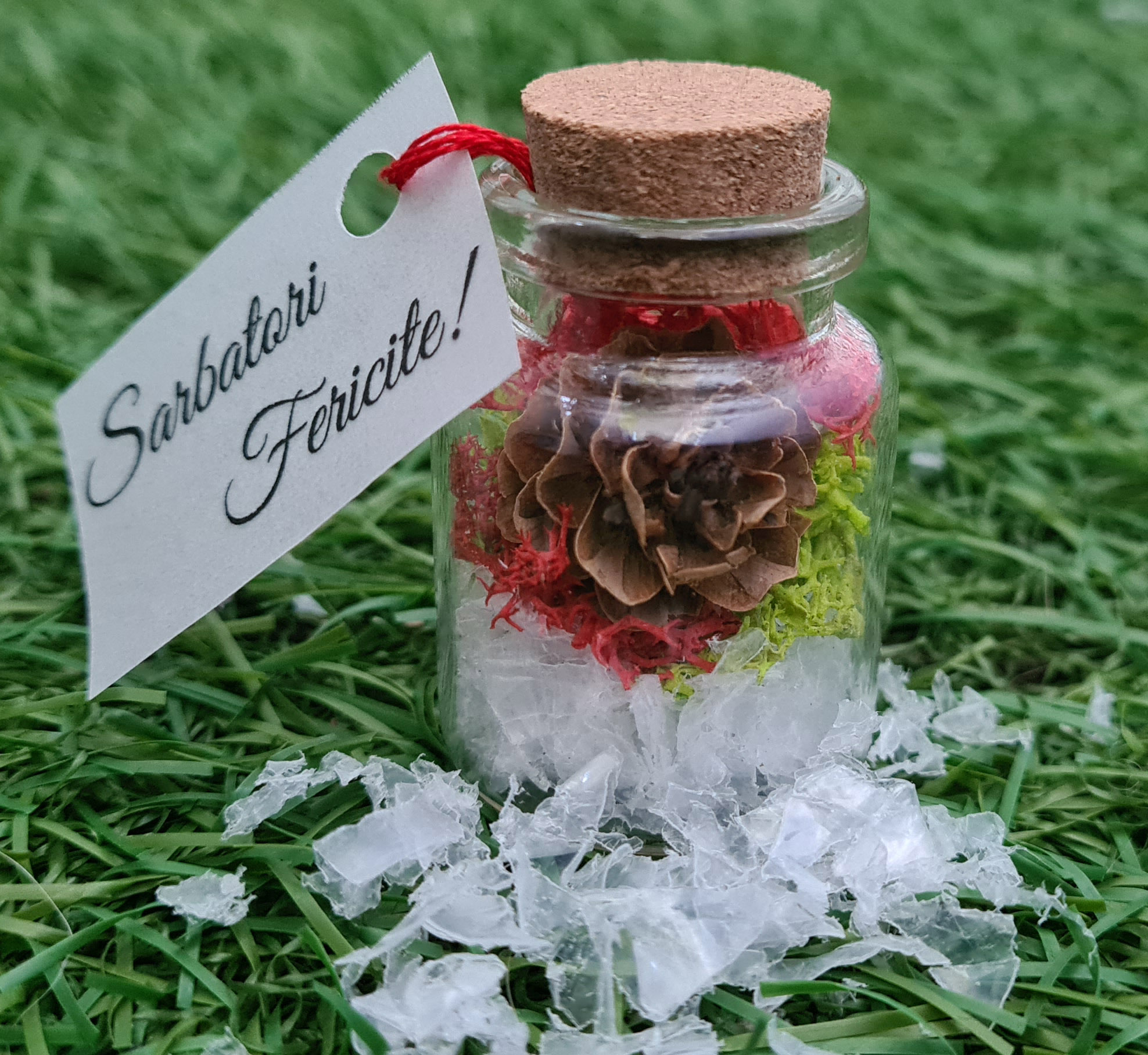 terariu-Pinecone-92495b6d