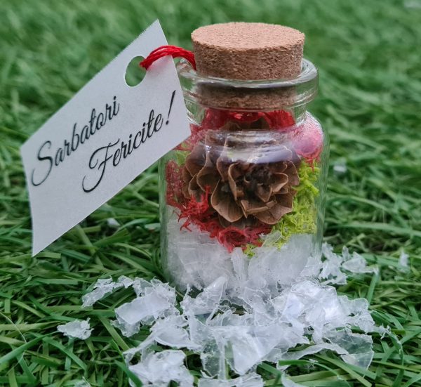 terariu Pinecone f103f307