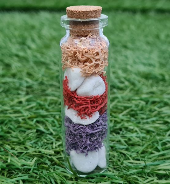 terariu Trei culori e30999db