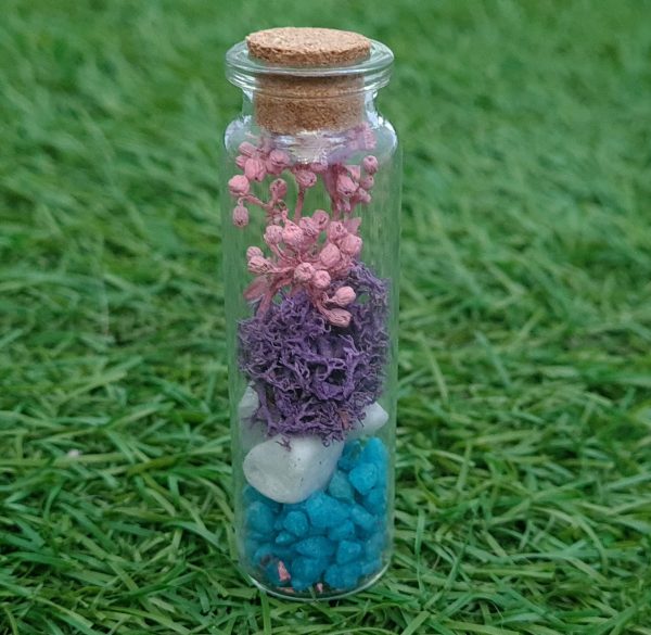 terariu pink flower bc83cf30