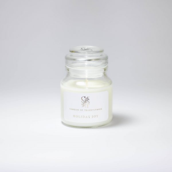 HOLIDAY JOY SCENTED CANDLE 731907e2