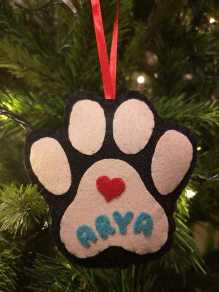 IMG 20191112 181121 5e2fde9b