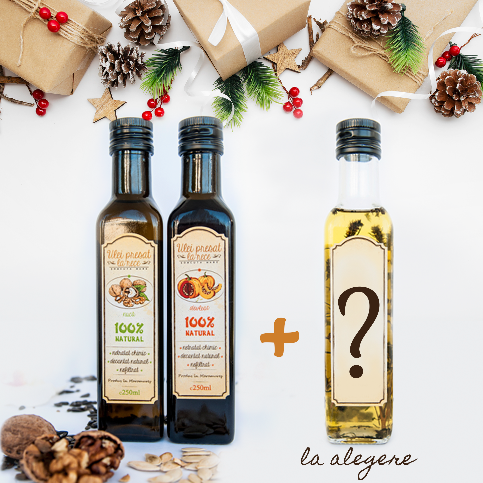 Imagine-FB-Shop-Cadou-Craciun_2020 (1)-57d7f4bd