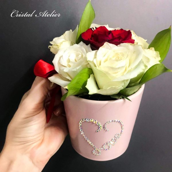 3FE3A924 066B 4271 825D 7E60C17F561B e2d69990