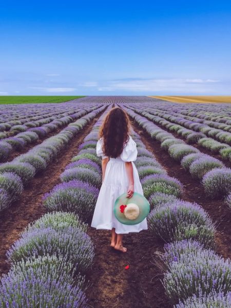 FB IMG 1612127325735 833c3e2a