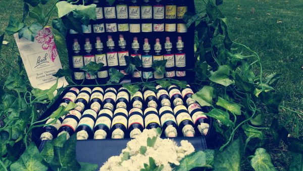 inbound5366997401220142467 b6a43a3a