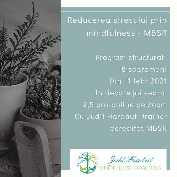 Cel mai studiat si folosit program de reducere a stresului prin mindfulness. 1