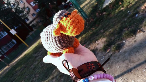 P 20181112 135718 1 1967dd05