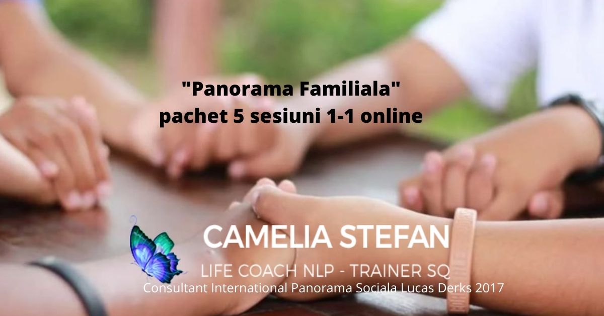 Panorama familiala-2b1021e5