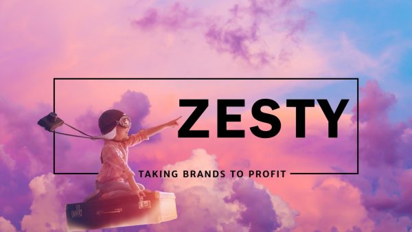 Zestybusiness consulting dafc6bb6