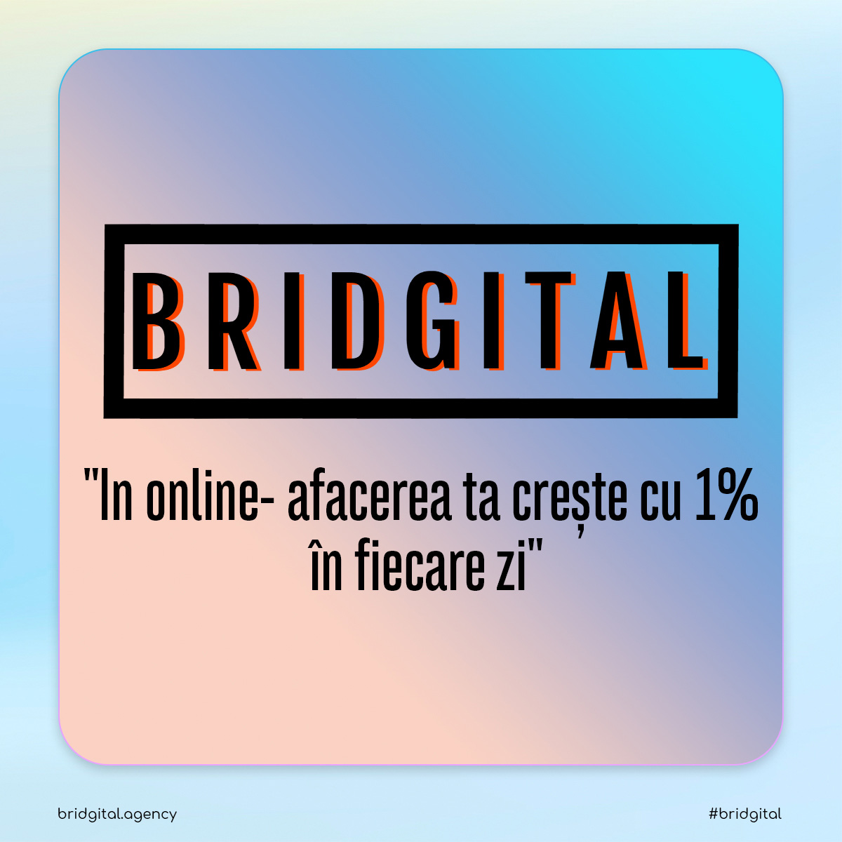 Bridgital – Online Marketing Agency