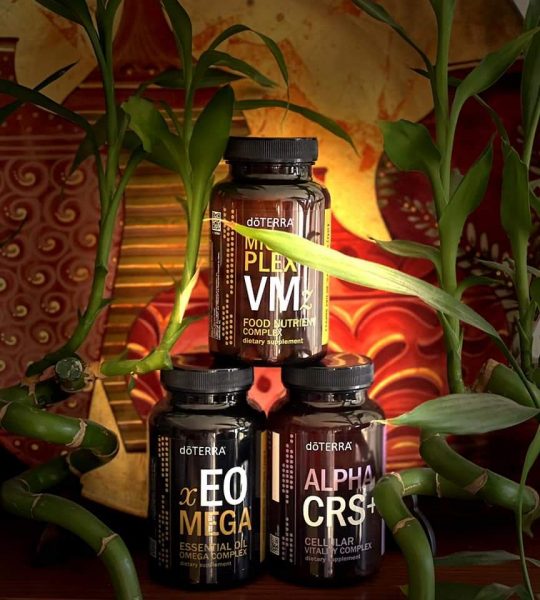 inbound3491597460865744445 095ce57f