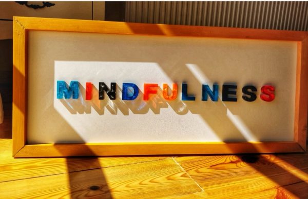 inbound5480637453181195323 b9835686