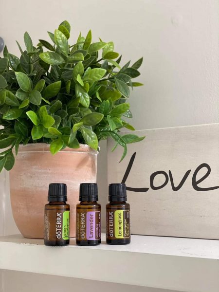 inbound8777775820312117388 7f7c2582