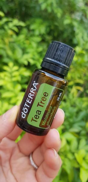 inbound8880364751221907350 d83ba050