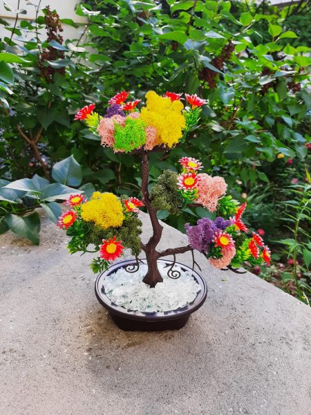 Copacel cu licheni 487d566e