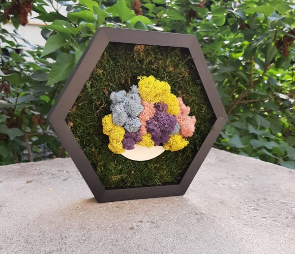 Tablou Copacul vietii cu licheni ff46356c