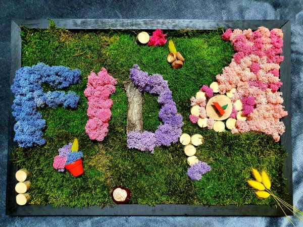 Tablou cu licheni si muschi 337aba59