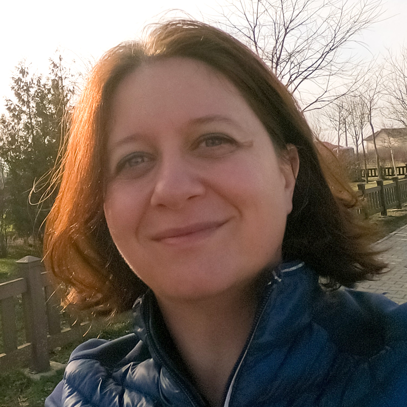 eu 800x800px-800c14d4