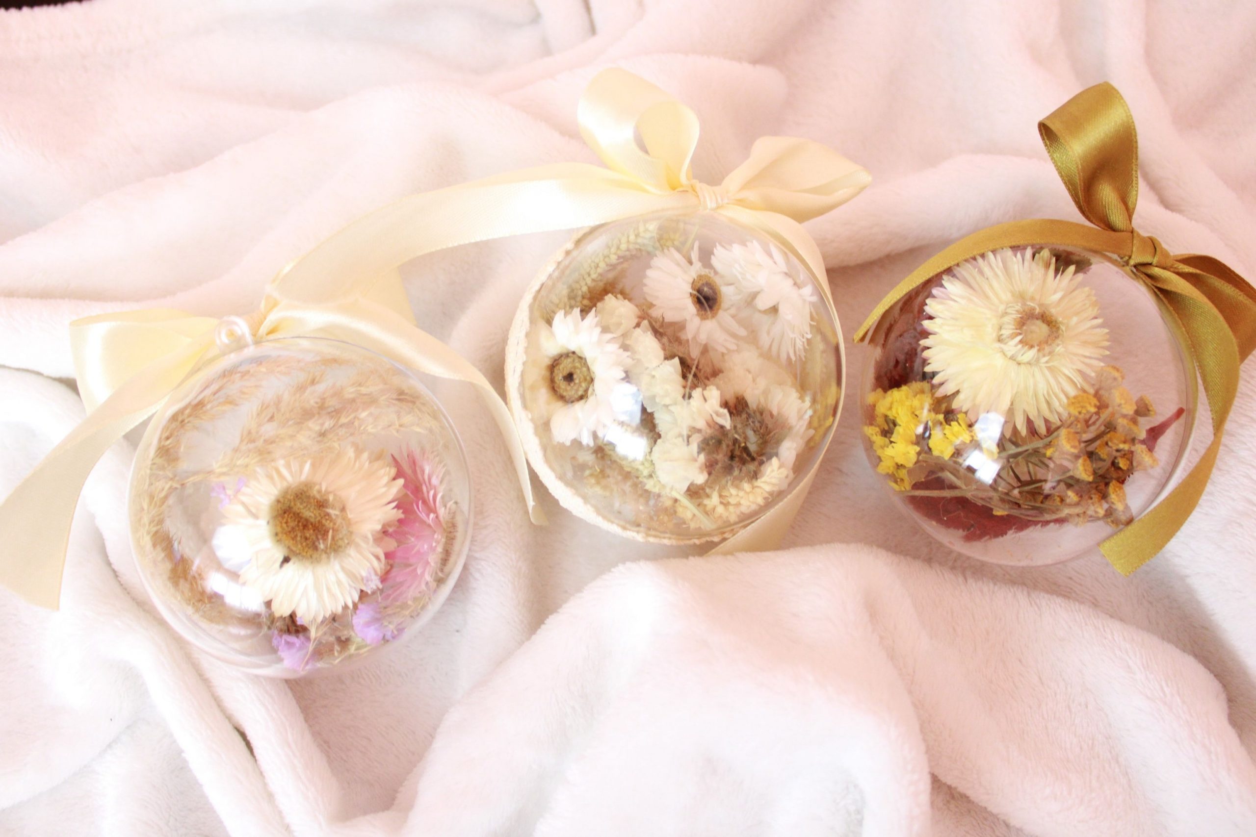 258744918_728200458573718_3864878981500585449_n-2e48a33e