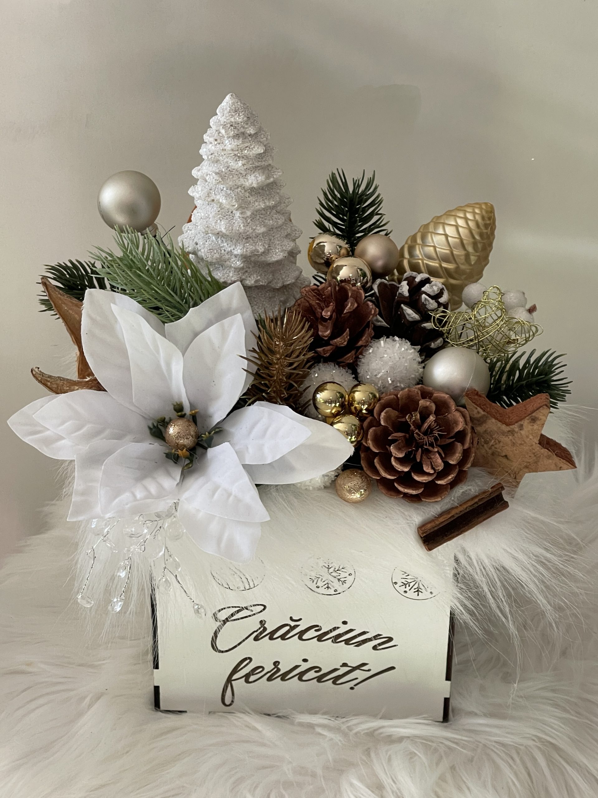 49992E68-5068-4DD6-8FFA-C187C1C943DC-64616d50