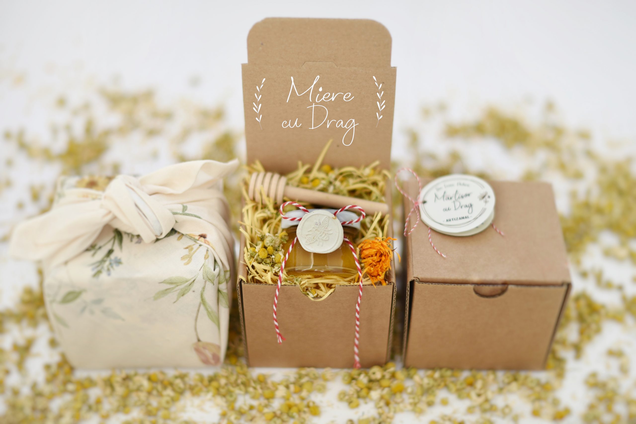 06603167-4A86-49C4-9969-5AC22D4F49A9-13924e61