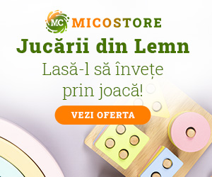 Micostore - magazin online de jucarii - parte din familia ta