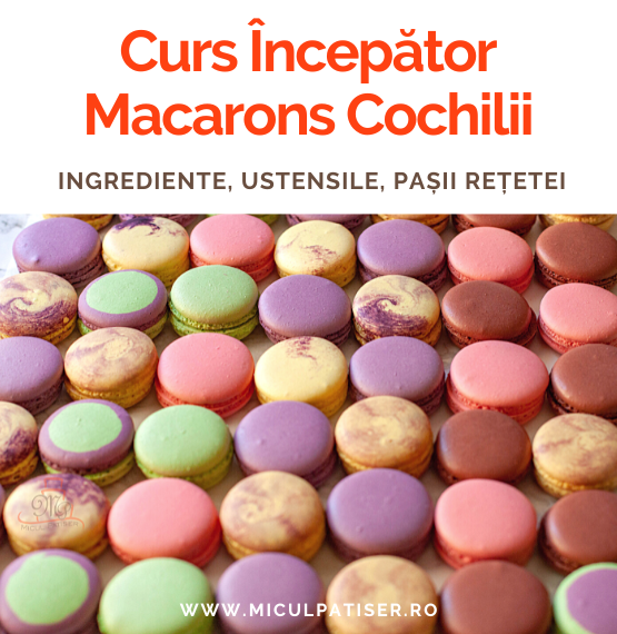 Curs Incepator Macarons Cochilii 3c9a5be5