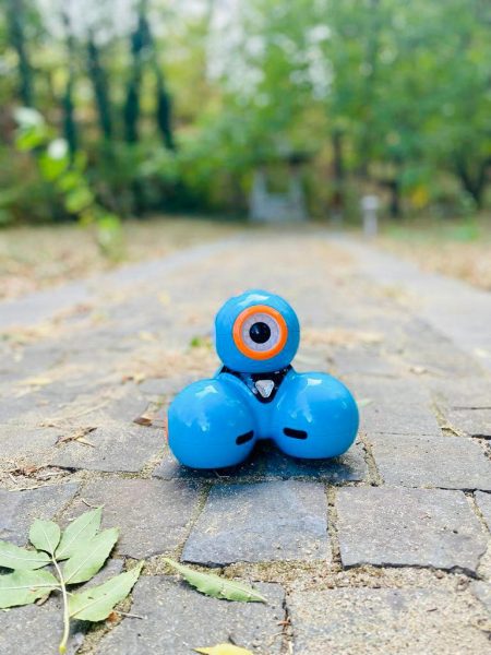 385877266 798229678970625 6078871150418506605 n