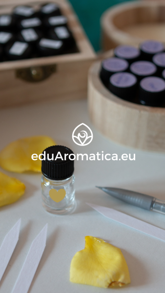 Logo verticale chiaro