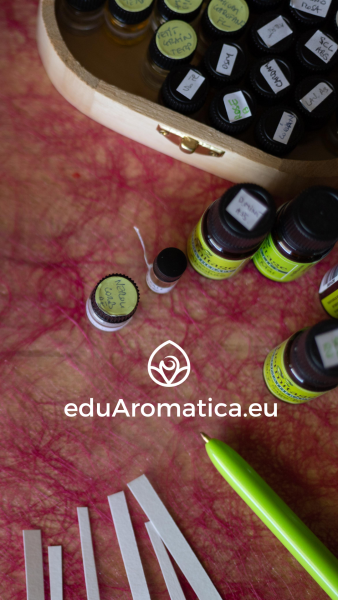 Logo verticale magenta