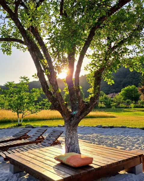 IMG 20220620 200803 163