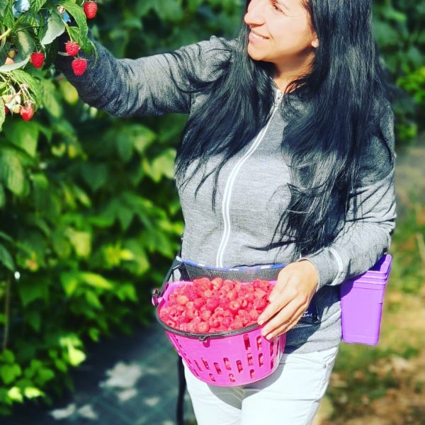 inbound4028194630750192958