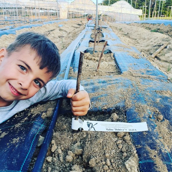 inbound5262276915750979545