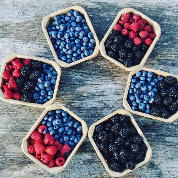 inbound5288673666087570295